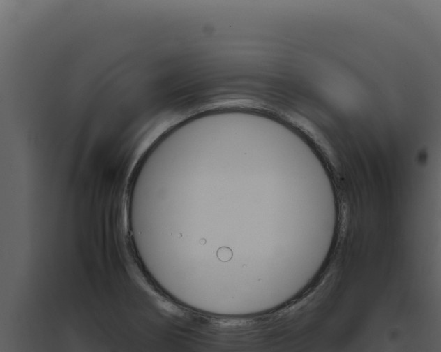 X0000094821274200711161019
