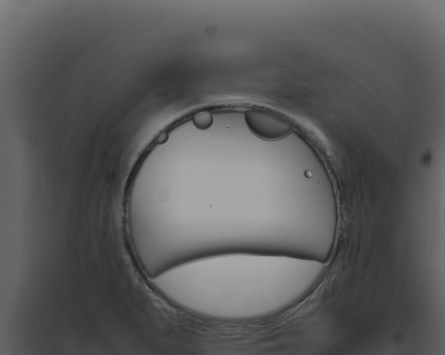 X0000094821279200711161019