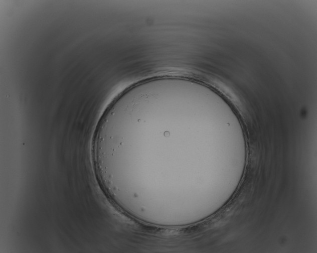 X0000094821283200711161019