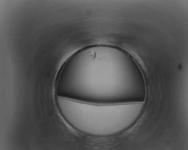 X0000094821285200711161019