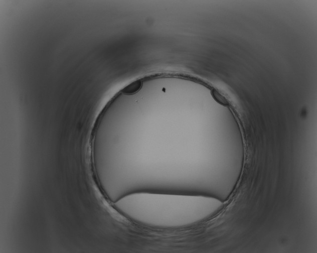 X0000094821287200711161019