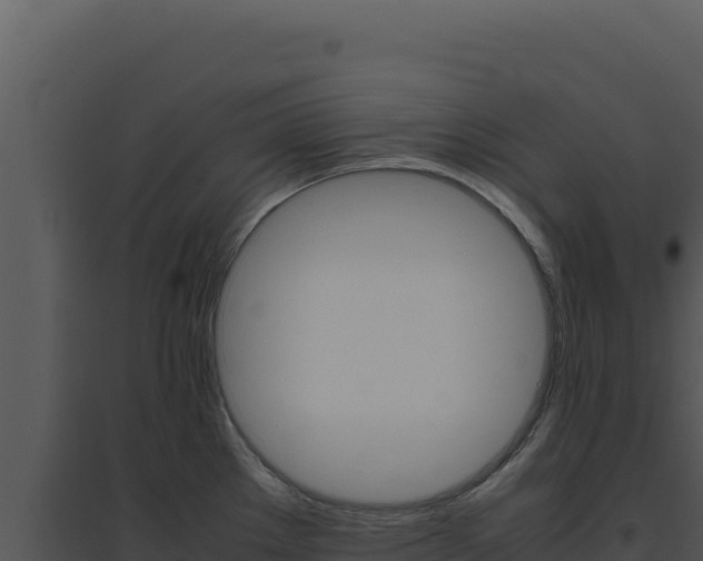 X0000094821289200711161019