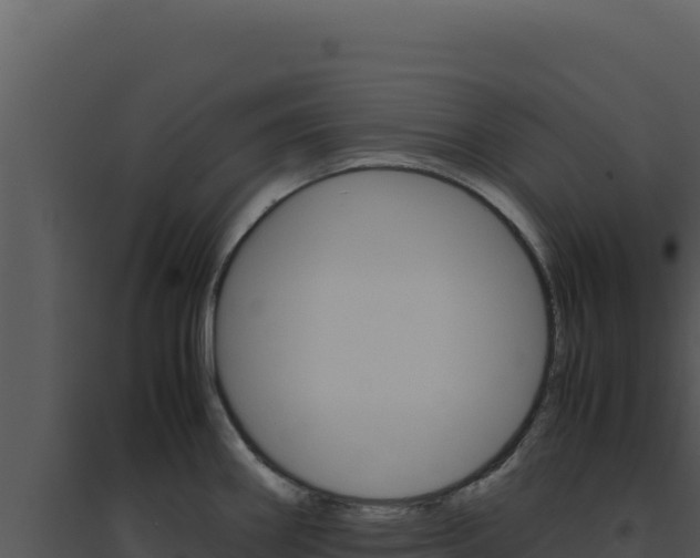 X0000094821290200711161019