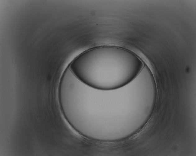 X0000094821293200711161019