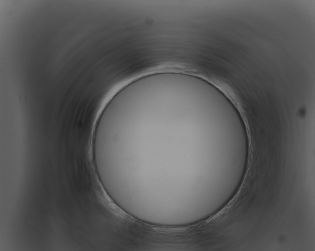 X0000094821296200711161019
