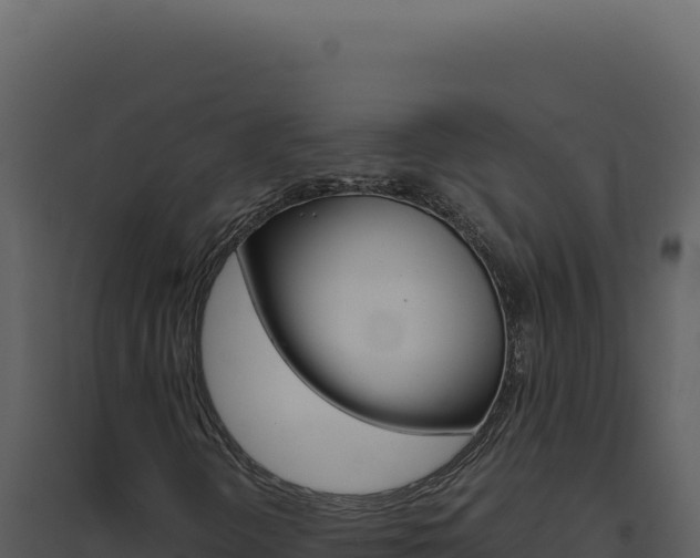 X0000094821298200711161018