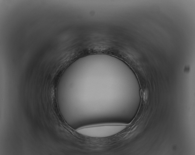 X0000094821299200711161018
