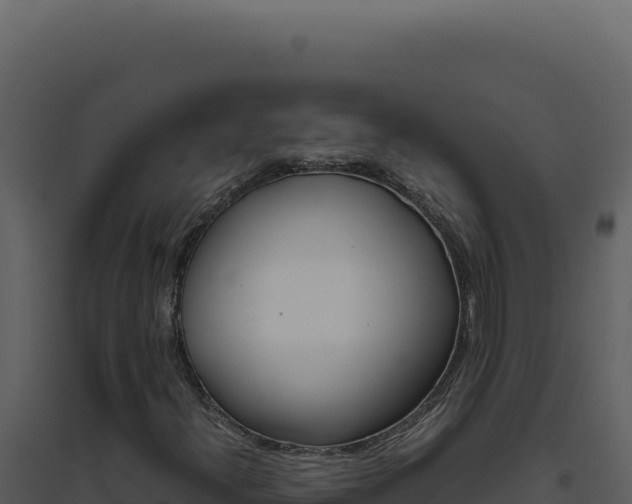 X0000094821300200711161018