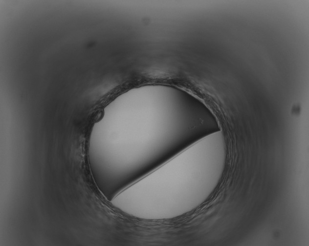 X0000094821301200711161018