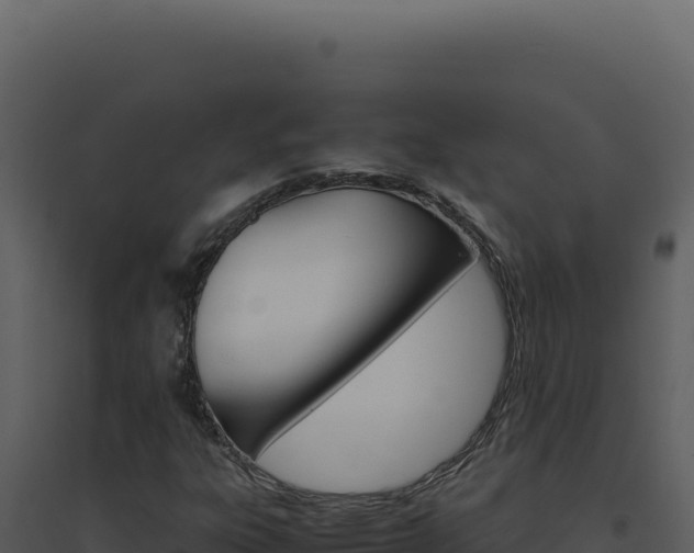X0000094821303200711161018