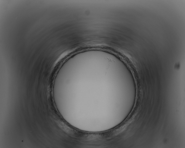 X0000094821306200711161018