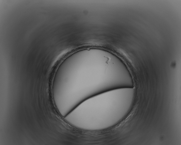 X0000094821307200711161018