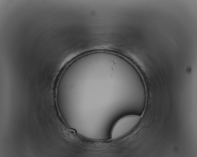 X0000094821308200711161018