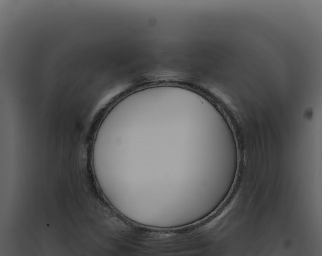 X0000094821309200711161018