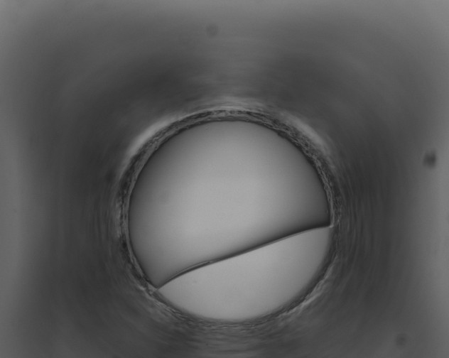 X0000094821310200711161018