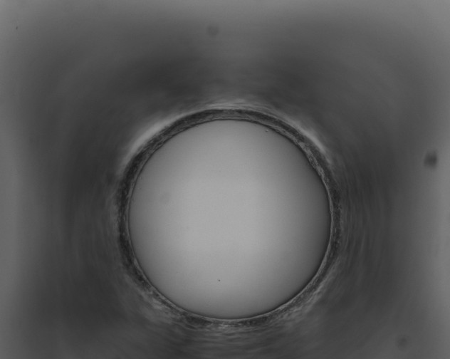 X0000094821311200711161018