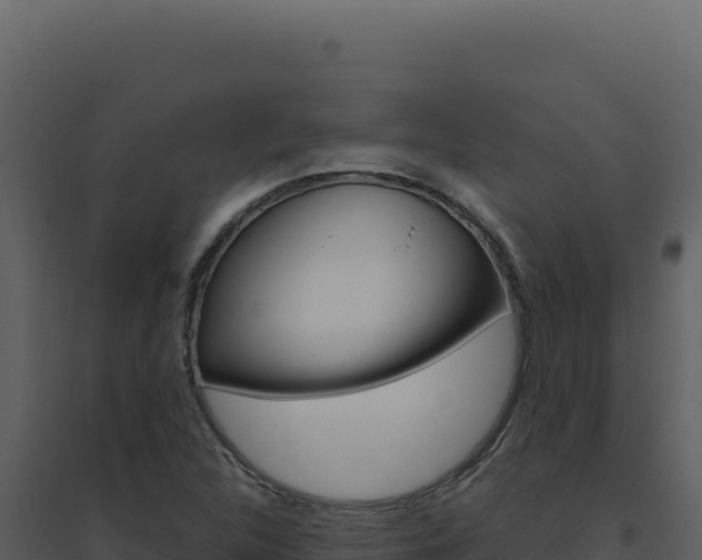 X0000094821312200711161018