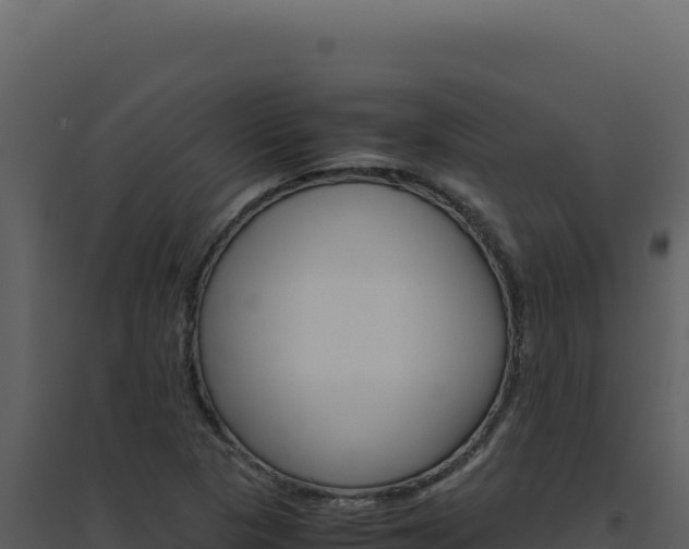 X0000094821313200711161018