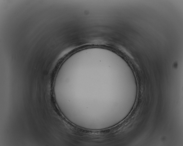X0000094821315200711161018