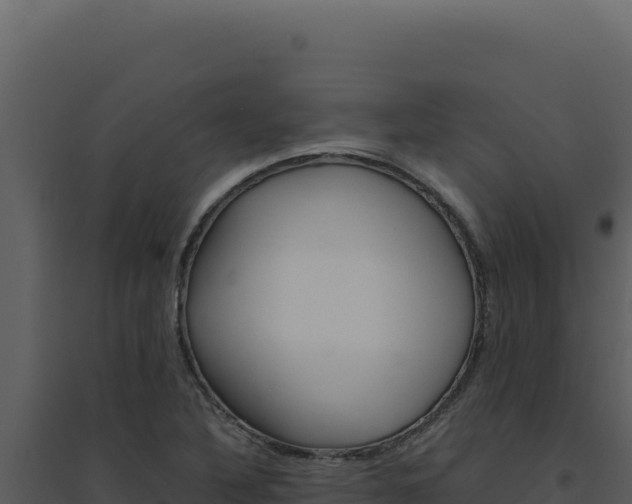 X0000094821316200711161018