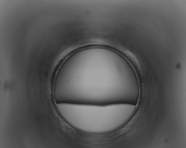 X0000094821318200711161018