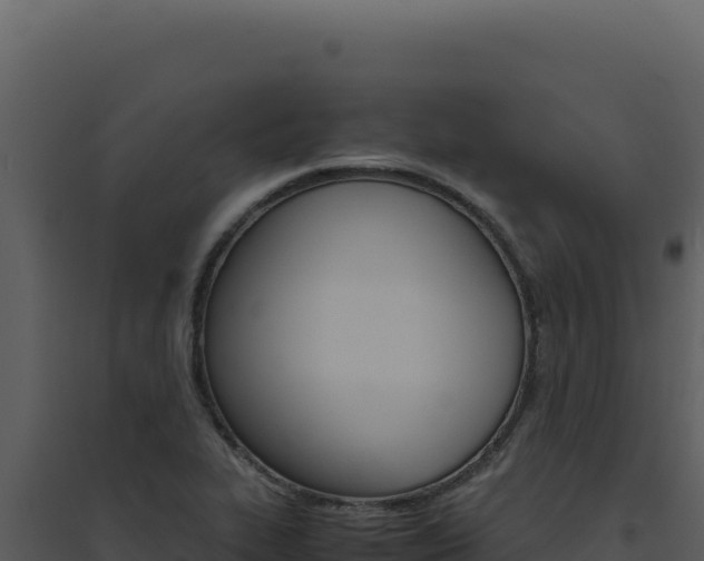 X0000094821319200711161018
