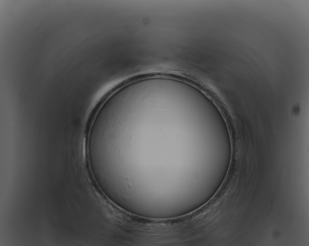 X0000094821320200711161018