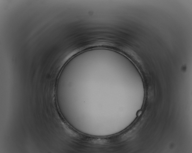 X0000094821321200711161018
