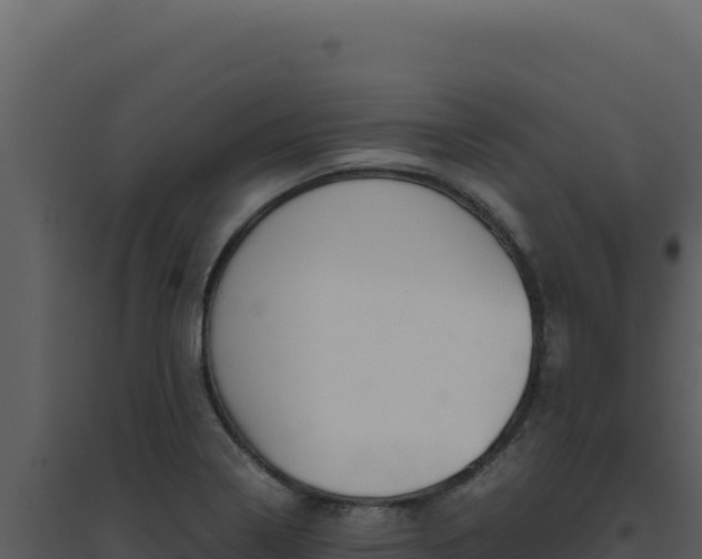X0000094821322200711161018