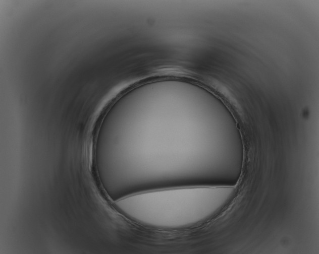 X0000094821323200711161018