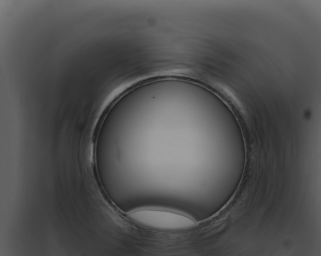 X0000094821324200711161018