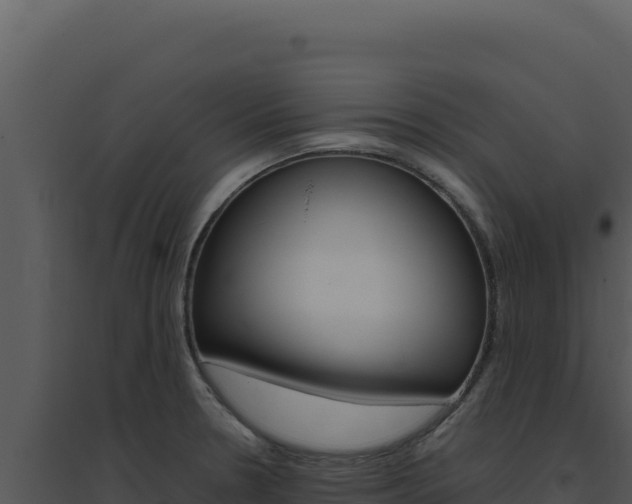 X0000094821330200711161019