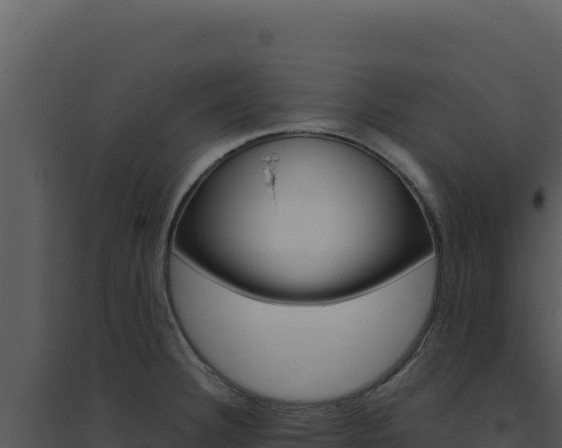 X0000094821332200711161019