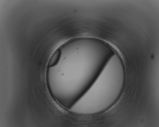 X0000094821333200711161019