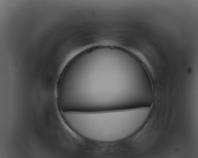 X0000094821335200711161019