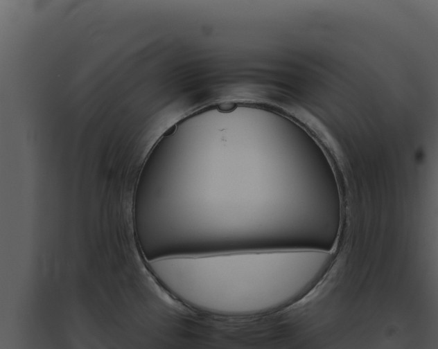 X0000094821337200711161019