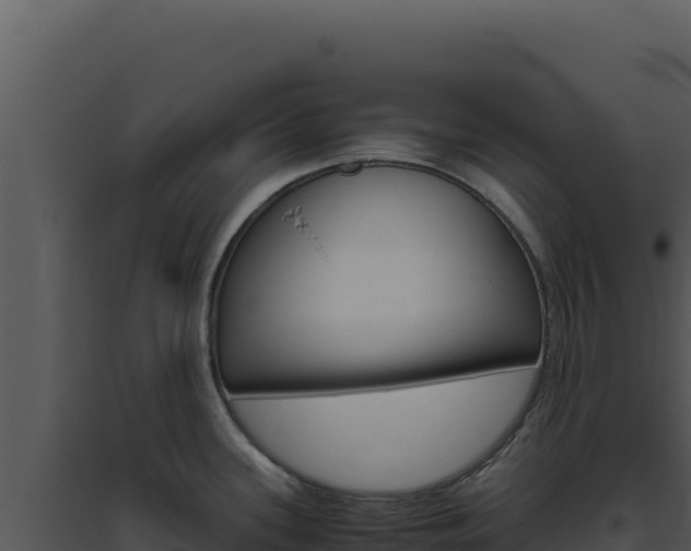 X0000094821339200711161019