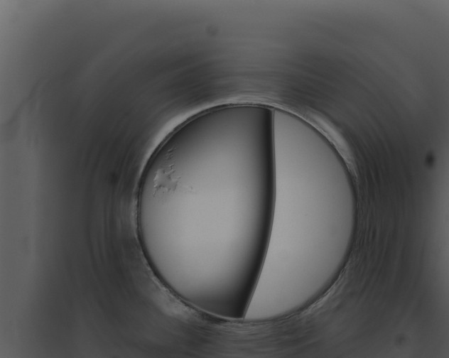 X0000094821340200711161019
