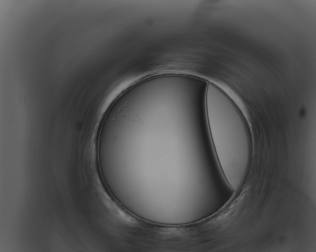X0000094821341200711161019