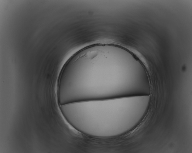 X0000094821343200711161019