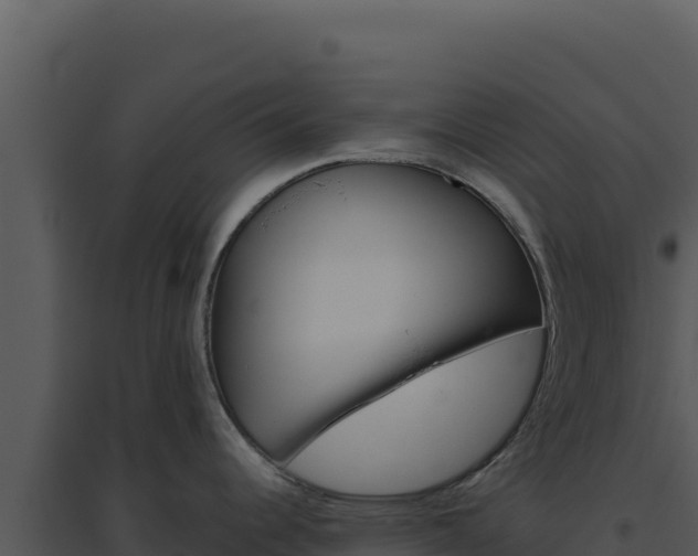 X0000094821344200711161019
