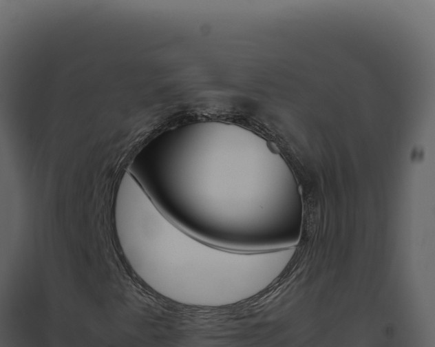 X0000094821345200711161018