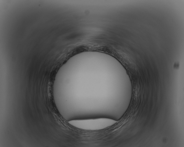 X0000094821346200711161018
