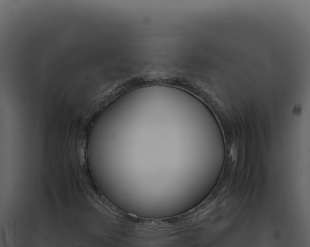 X0000094821348200711161018