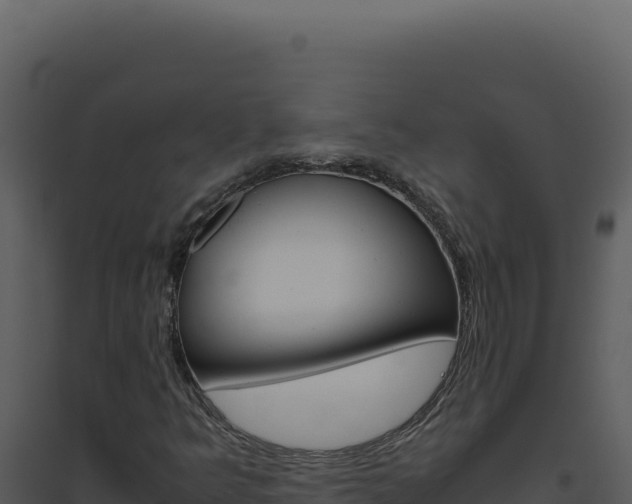 X0000094821349200711161018