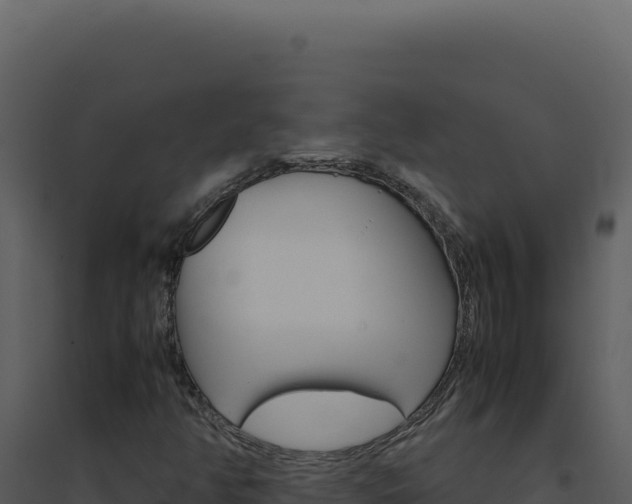 X0000094821350200711161018