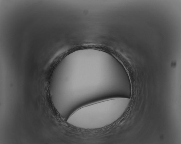 X0000094821351200711161018