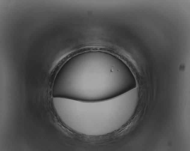 X0000094821352200711161018