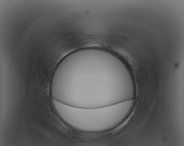 X0000094821353200711161018
