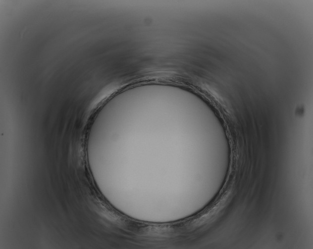 X0000094821354200711161018